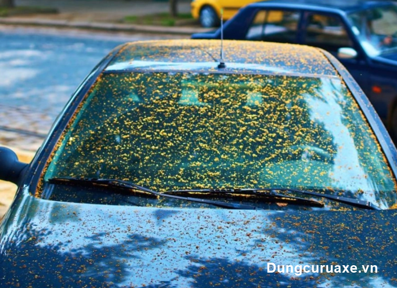 Làm hỏng kính lái 