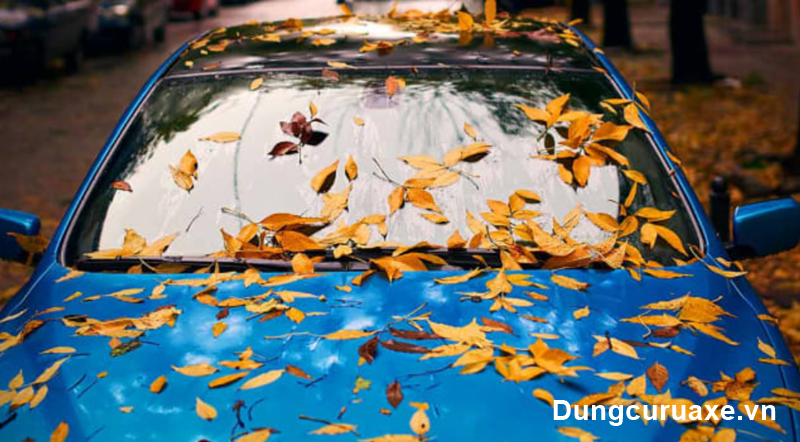 Có nhiều cách để khắc phục lá cây bám trên xe ô tô 