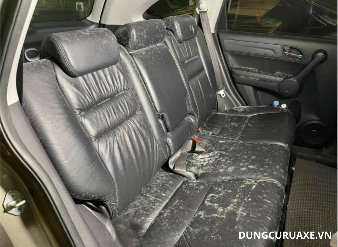 Vệ sinh sai cách làm ghế da bị mốc và lên mùi khó chịu