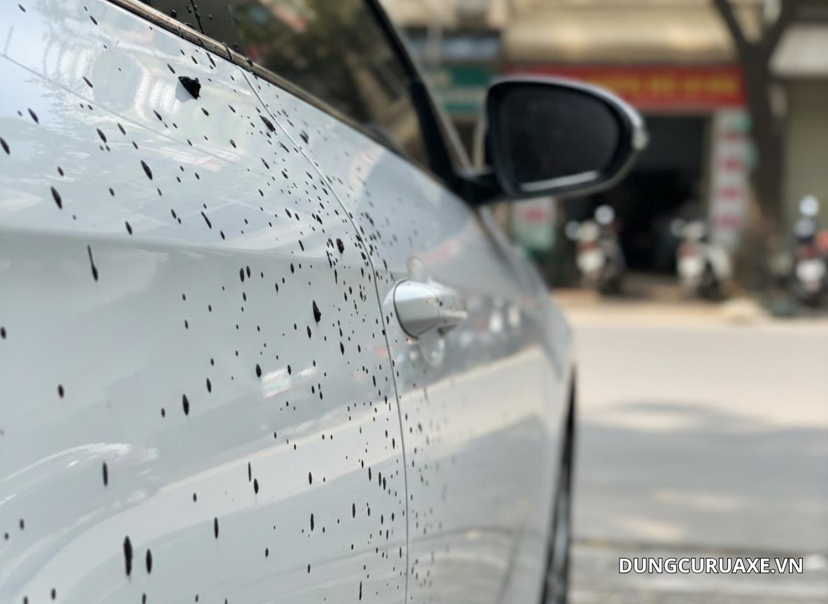 Cách tẩy Vết nhựa đường nhựa cây trên xe ô tô an toàn cho sơn