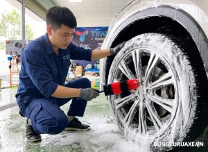 Hướng Dẫn Sử Dụng Cọ Vệ Sinh Lazang Đúng Cách Cho Người Mới